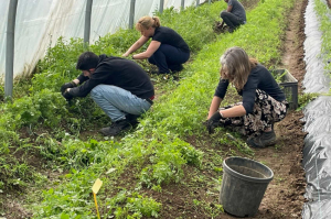 « La facture s’alourdit mois après mois. Il ne s’agit plus de savoir si nous battrons un record, cela est acquis. Après 80 milliards de déficits en 2024, la vraie question est de savoir de quelle ampleur sera le record à la fin de l’année 2025 au niveau de la balance commerciale de la France ! Une balance défavorable à notre secteur agricole et à ses nombreuses filières…».