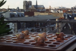 « Avant de participer à plusieurs marchés de Noël dont celui de la ferme de Méré dans l’Yonne, CROQUE BOURGOGNE se rendra au Salon des Coqs d’Or à Paris fin novembre. Objectif : profiter de l’affluence francilienne pour engranger de nouvelles conquêtes commerciales… ».